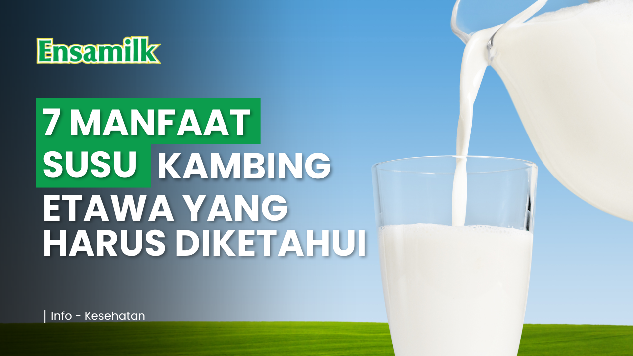 Artikel Ensamilk - 7 Manfaat susu kambing etawa yang harus diketahui