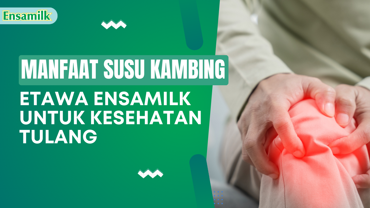 3 Manfaat Susu Kambing Etawa untuk Kesehatan Tulang